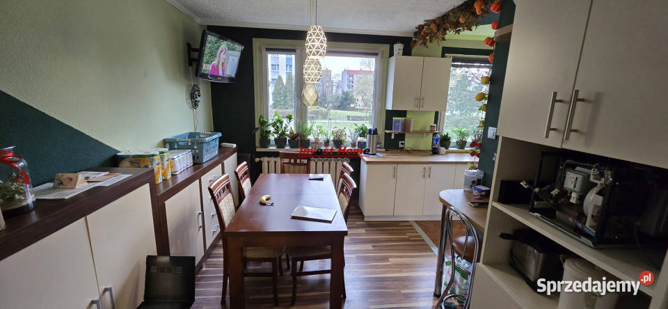 Mieszkanie sprzedam Katowice 7212m 3 pokoje