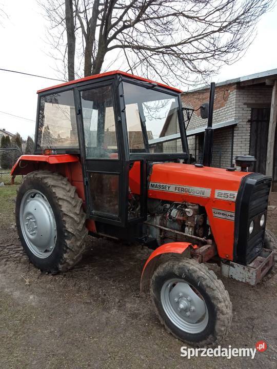 Massey Ferguson MF 255 Skrzynia biegów Manualna Dzierzgowo sprzedam