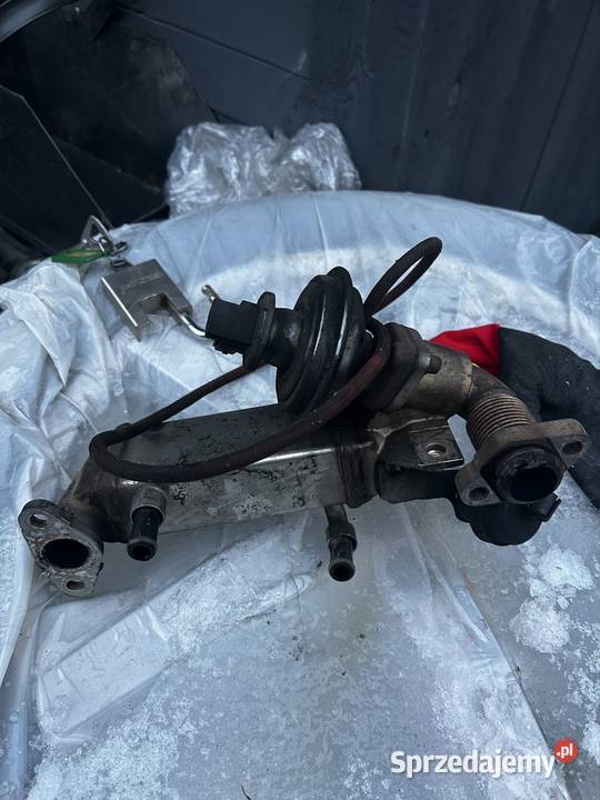 EGR BMW N47D20A używany sprawny