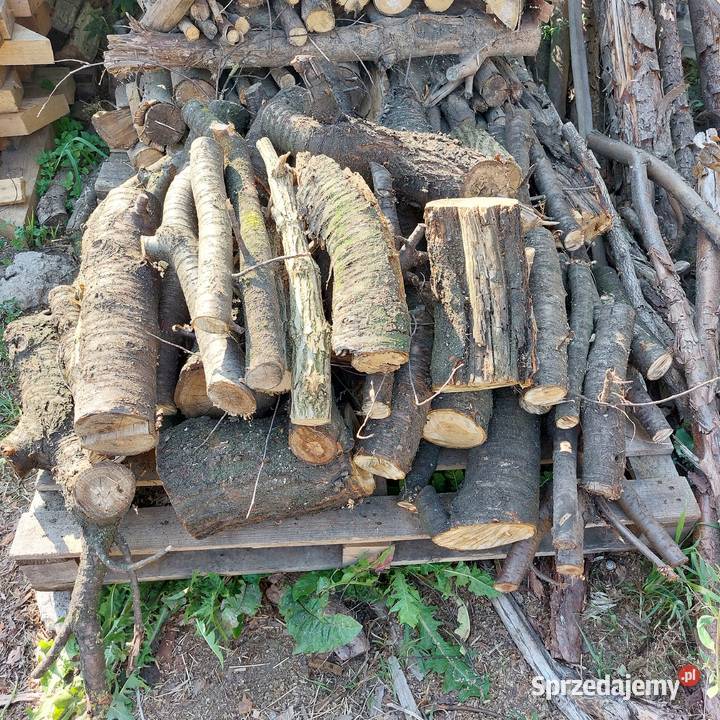 Drewno wiśnia olszyna do wędzenia podlaskie Łapy