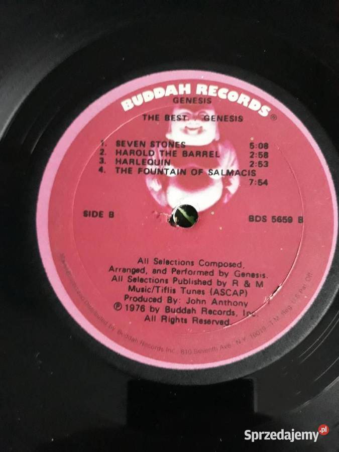 GENESIS Kolekcjonerskie wydanie 1976 płyta winylowa Rzeszów