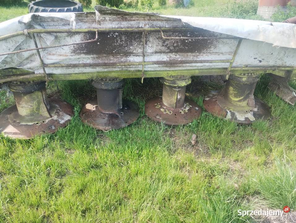 Kosiarka corto disco 310n Claas Chełmno