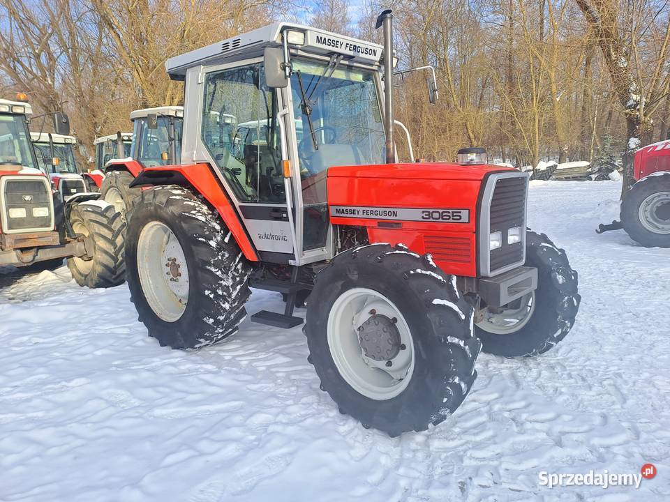 Massey Ferguson 3065 lubelskie Ruda-Huta