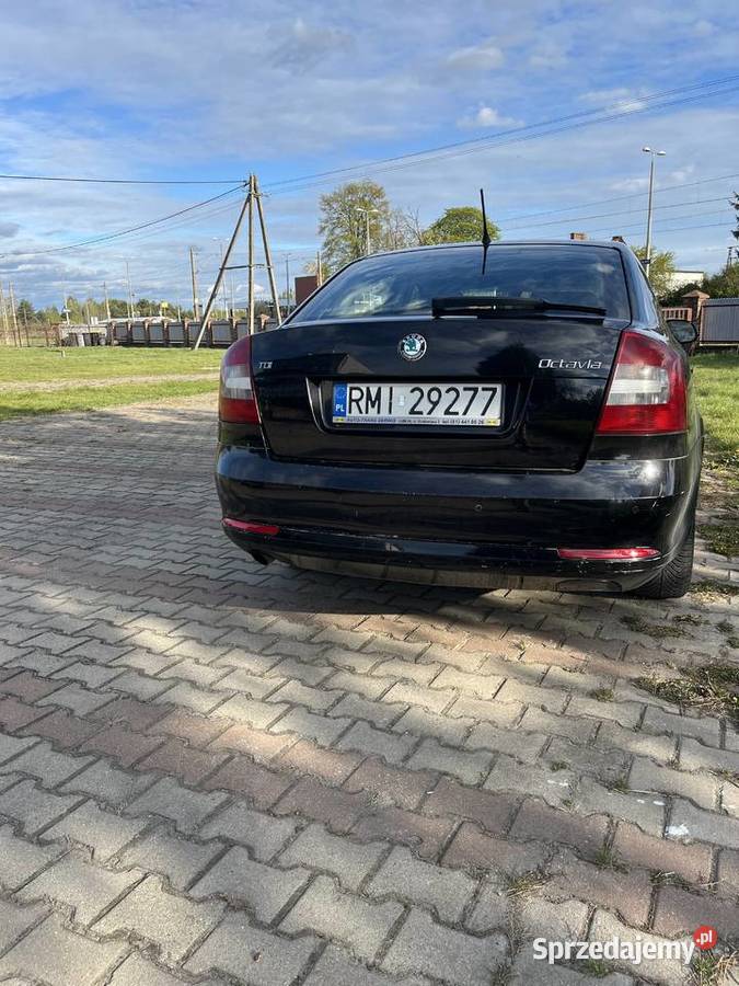 skoda octavia 20tdi 110KM Kanie-Stacja
