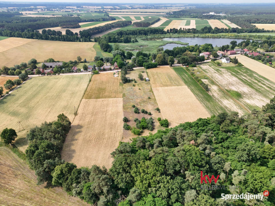 Działka 8874m2 Baranówko inwestycyjna Mosina