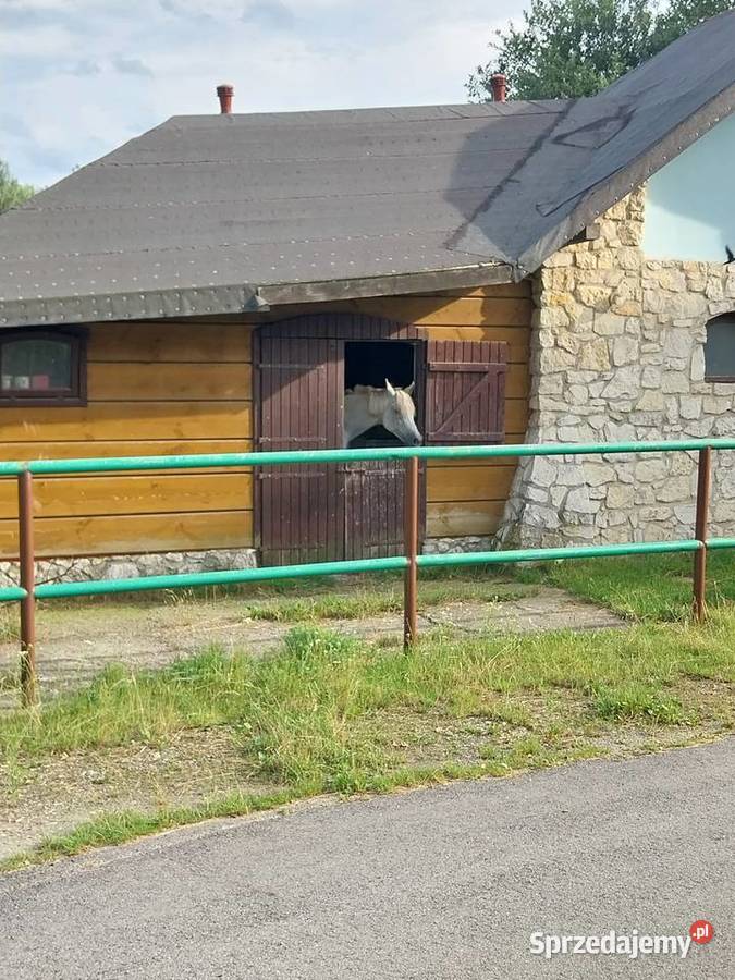 Sprzedam siedlisko rzeką Sprzedaż śląskie Wręczyca Mała sprzedam
