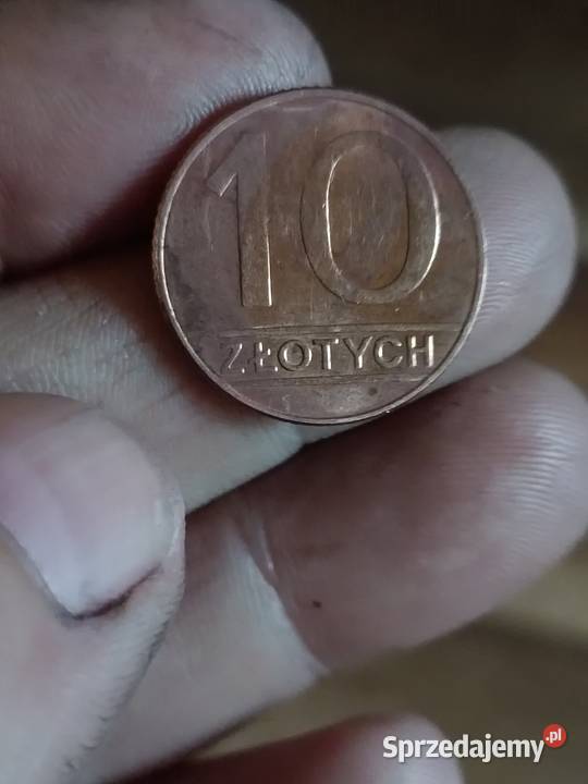 Sprzedam monete 10 zloty 1989r proba bez napisu Chełm sprzedam