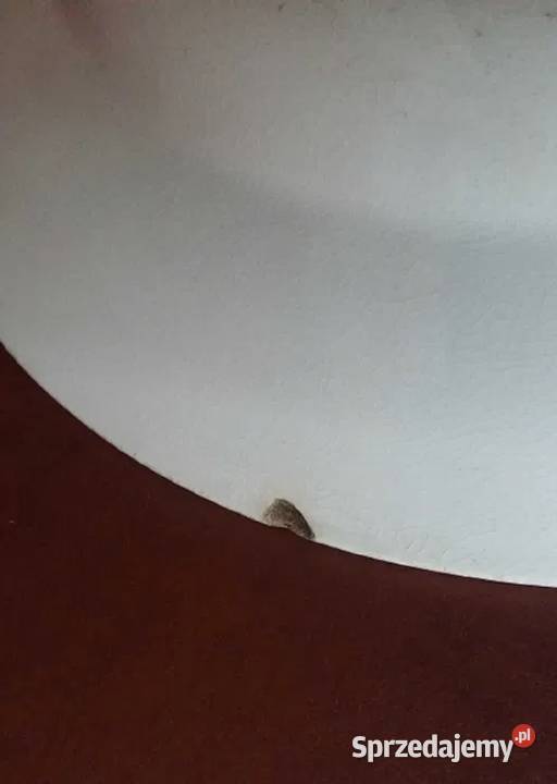 Antyk Talerz Patera Dekor 2 Gustavsberg Szwecja Pozostałe Gdańsk