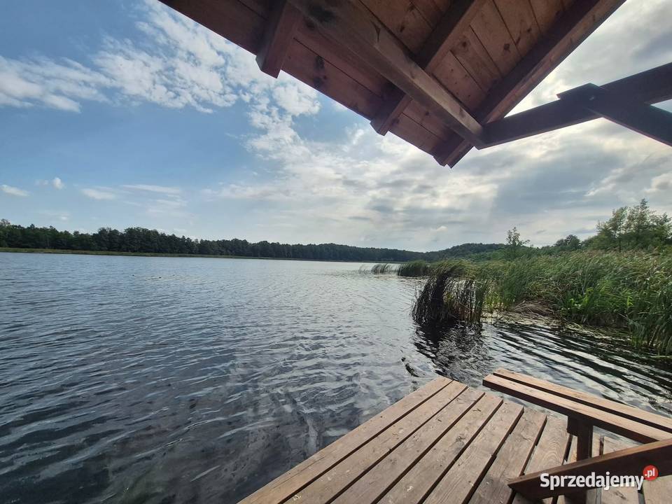 Działka w otoczeniu lasu jeziorem Ciechocin