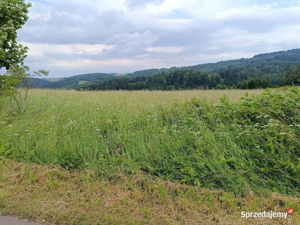 8000 m2 Zabudowa mieszkaniowa w Górach Sowich dolnośląskie