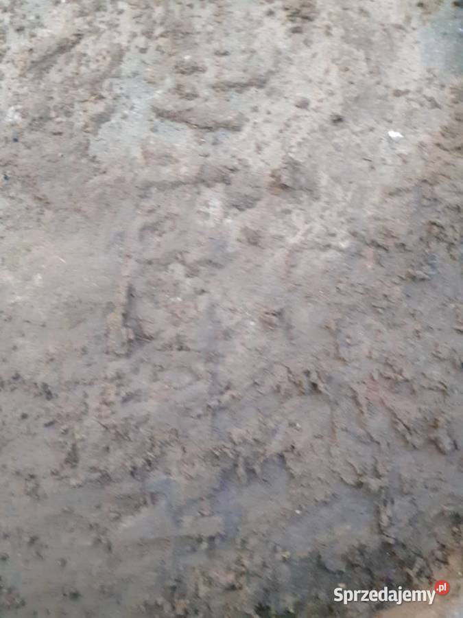Sprzedam stary zabytkowy Kierat z przystawką
