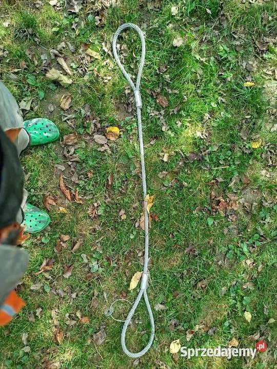 Lina z uszami zawiesie