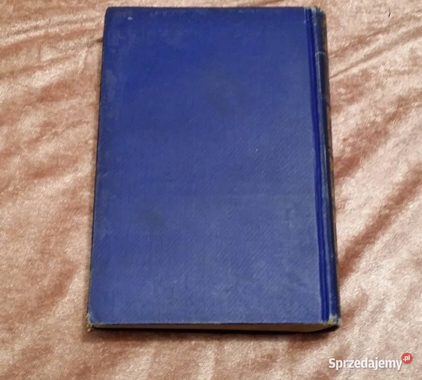 Książka Charles Dickens Dombey And Son język twarda