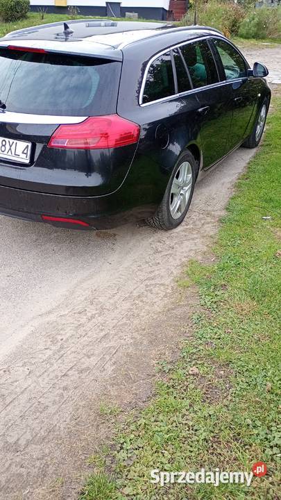 Opel Insignia 2011 Insignia Tczewskie Łąki