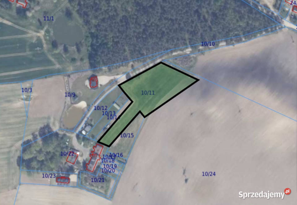 Duża działka 6000 m w Demlinie spokój natura i