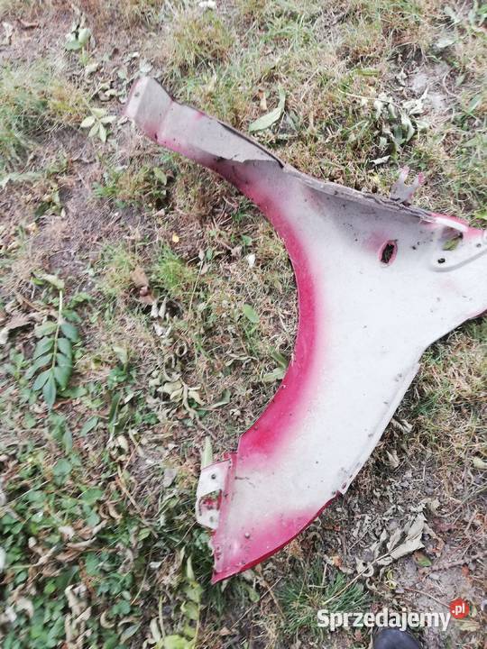 Citroen C2 błotnik lewy świętokrzyskie Kielce