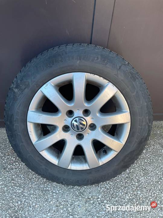 Volksvagen Golf V 19 TDI 2004 lubuskie Zielona Góra