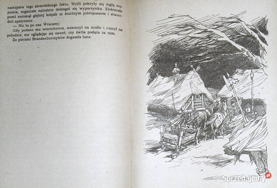 Czerwony sokół Ireneusz Gwidon Kamiński Chełm sprzedam