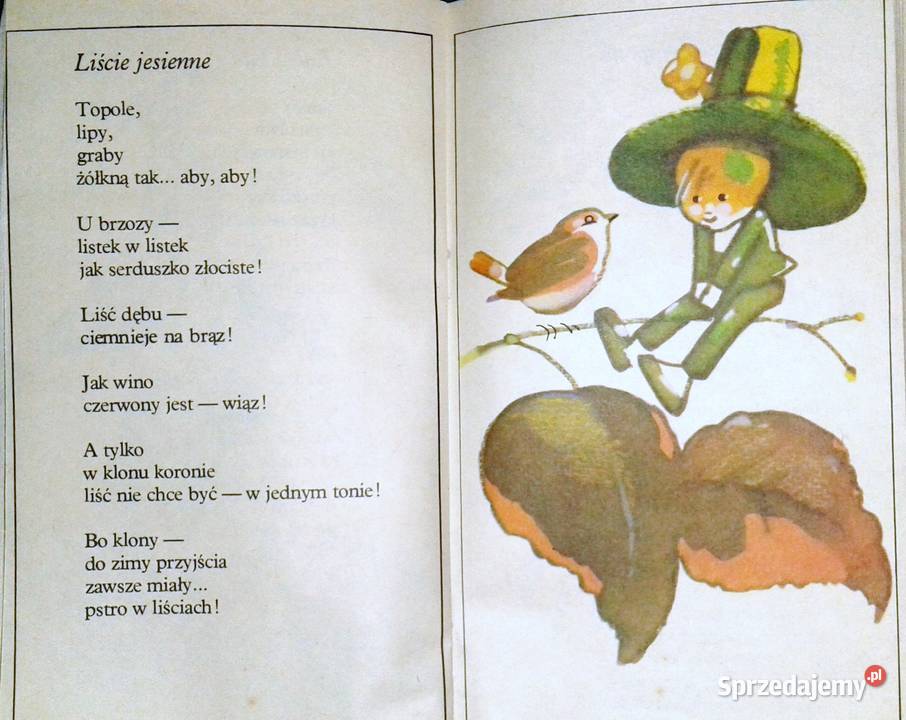 Złote bursztyny Halina Szayerowa Rok wydania 1983 Chełm