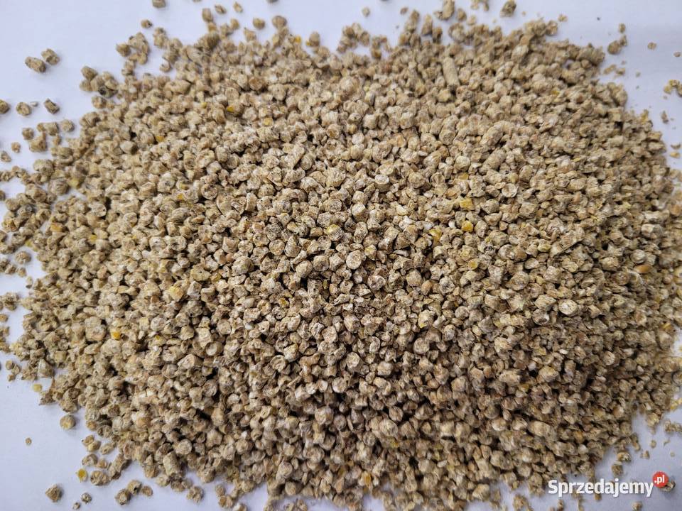 Pasza Brojler Starter Piast 25 Szybki i Zdrowy Liszki