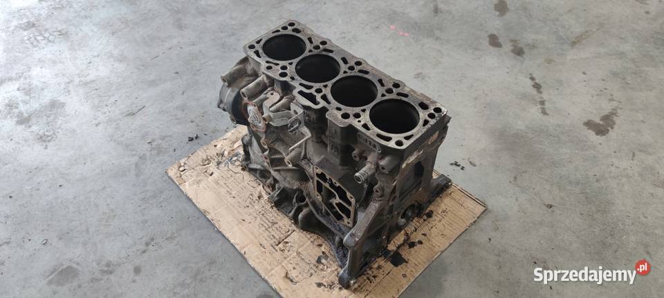 BLOK SILNIKA AUDI A4 B7 A6 C6 20 TDI BLB 03G021A Przystajń