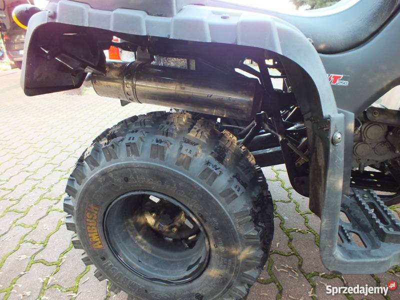 Quad ATV Bashan BS250s24 kujawsko-pomorskie Skępe