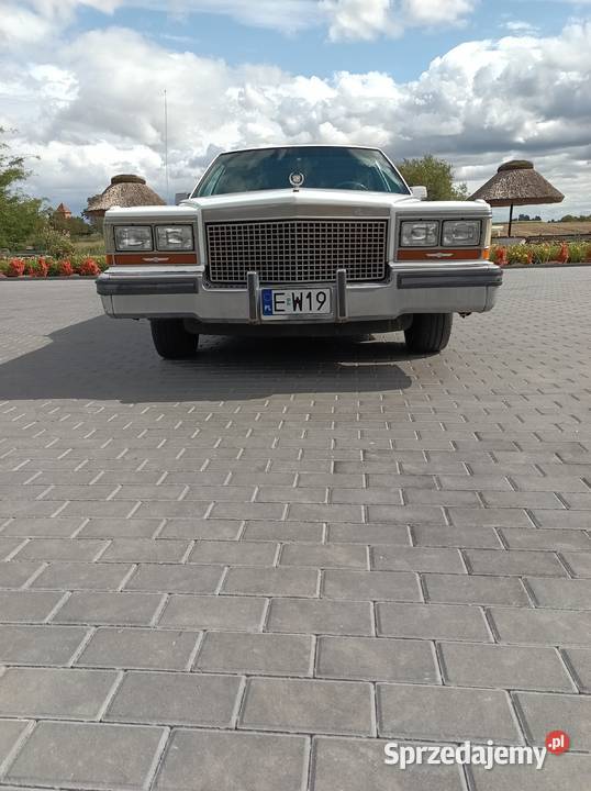 Limuzyna Chełmża