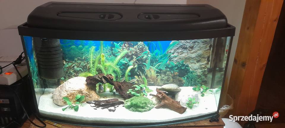 Akwarium Kompletne z rybami 100l Sosnówka