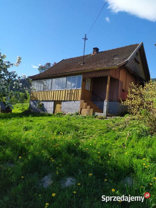 Urokliwe siedlisko z drewnianym domem cisza las Ptaszkowa