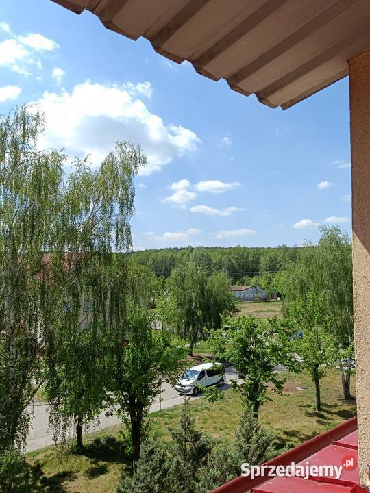 Sprzedam mieszkanie w budynku wielorodzinnym