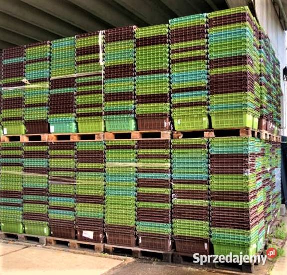 Pojemnik 60x40x27 Skrzynka Plastikowa Kosz dolnośląskie Dzierżoniów