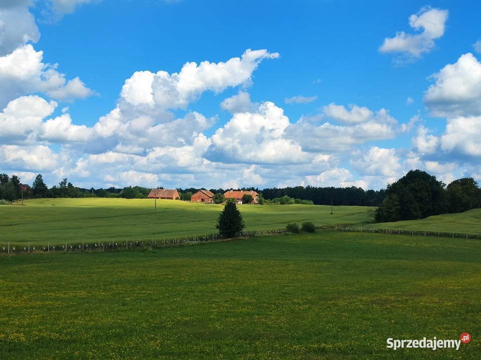 Siedlisko RADZIEJE mieszkanie 67 m2 działka