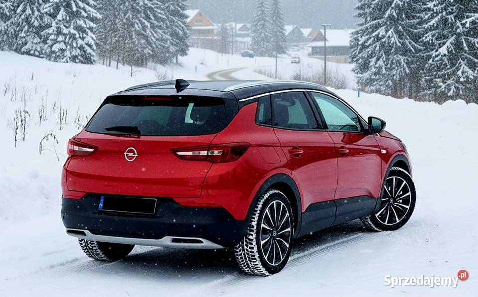 Opel Grandland X Ultimate Lift 4x4 300 Plugin Bochnia