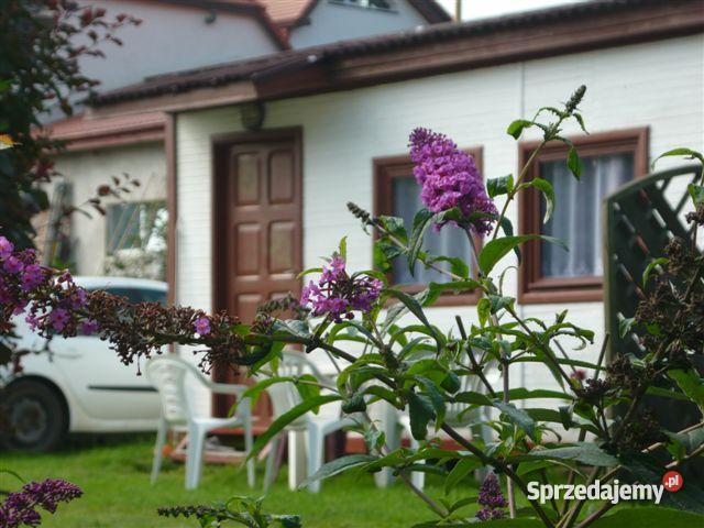 dom z widokiem na morze domki woda Poznań