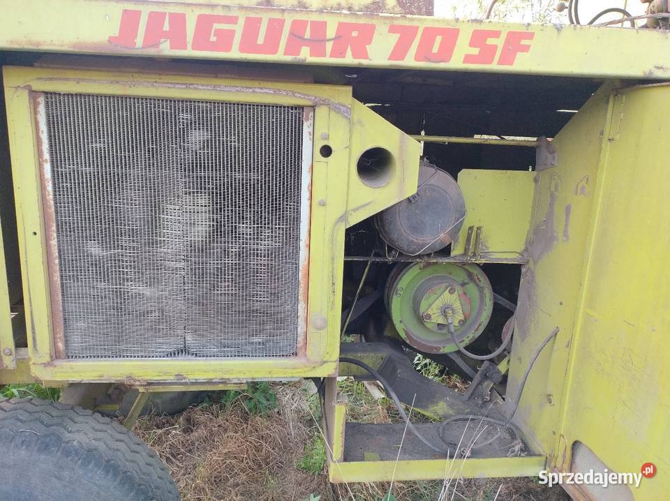 Sieczkarnia samojezdna CLAAS JAGUAR 70 SF Strzelce Krajeńskie