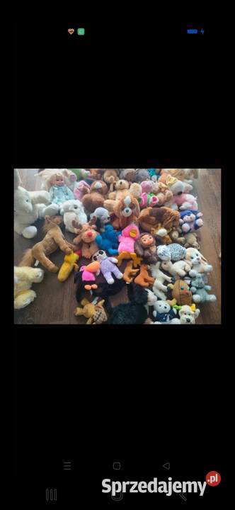 Maskotki Maskotki Stargard