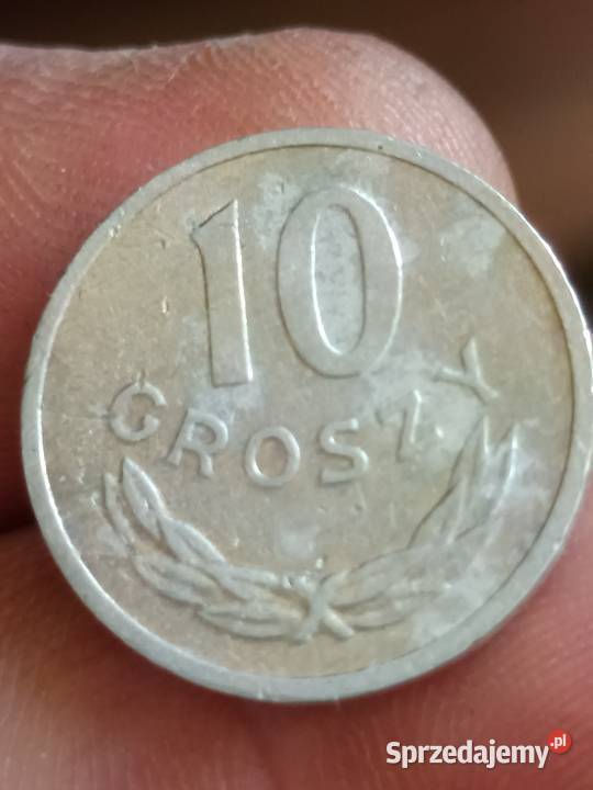 Sprzedam 10 gr 1980 r mala skretka lubelskie Chełm