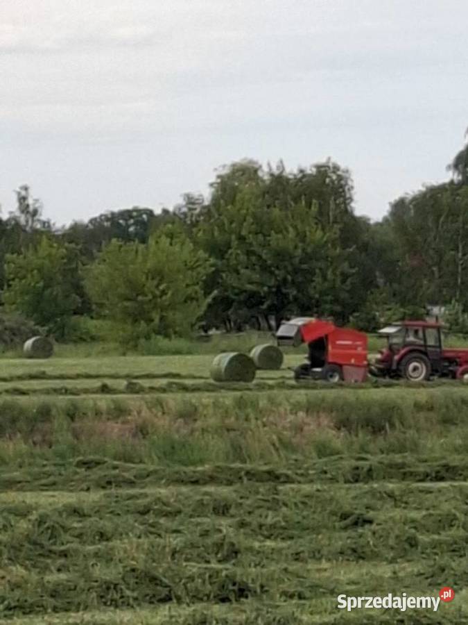 Siano Trawy, słoma Turek