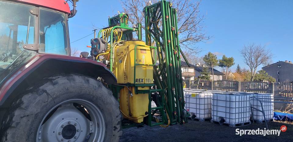 Pilmet 1018 Rex lubelskie