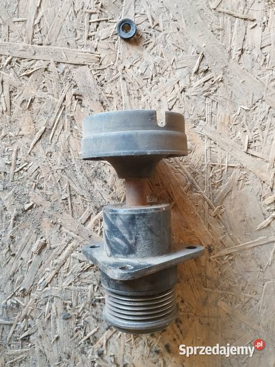 Sprzęgło alternatora Ford Focus MK1 18 TDCi Szubin