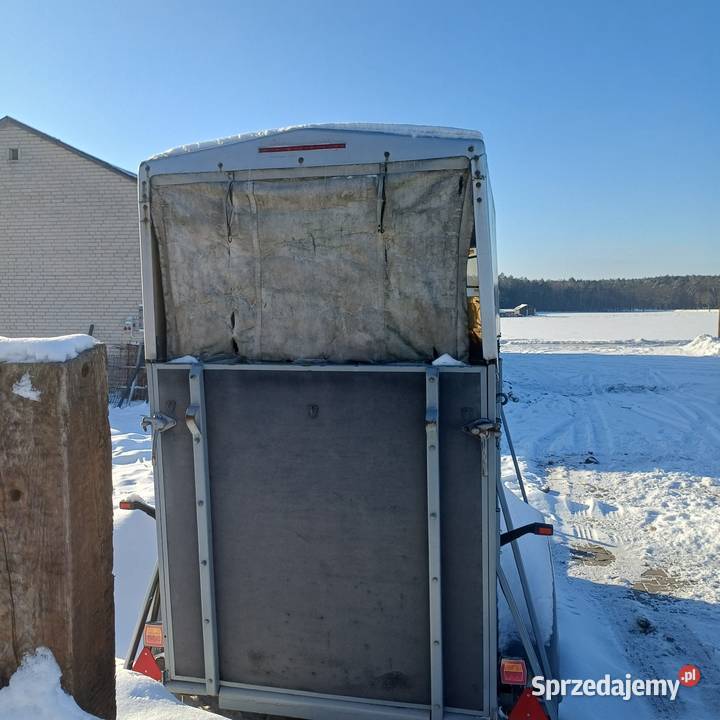 Przyczepa do przewozu koni Konie