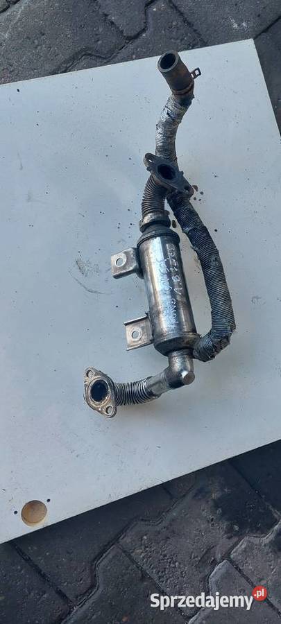 Chłodniczka chłodnica EGR Ford Focus C connect Recyrkulacja spalin EGR