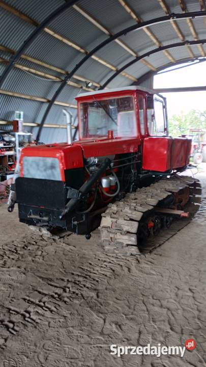 dt 75 spycharka błotniak det dt75 spych łódzkie Bryski