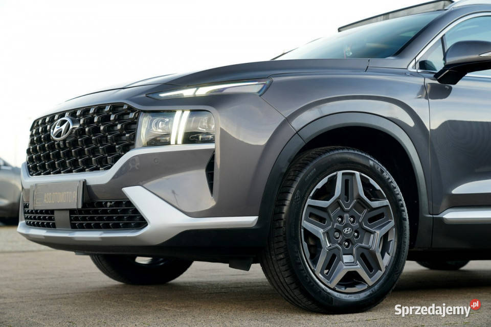 Hyundai Santa Fe FUL LED panorama skóra kamery światła do jazdy dziennej Otmuchów