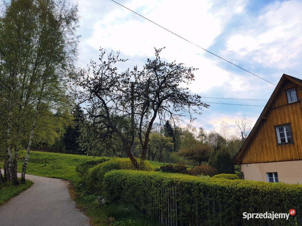 Klimatyczny dom w Karkonoszach z dużą działką dolnośląskie Zachełmie