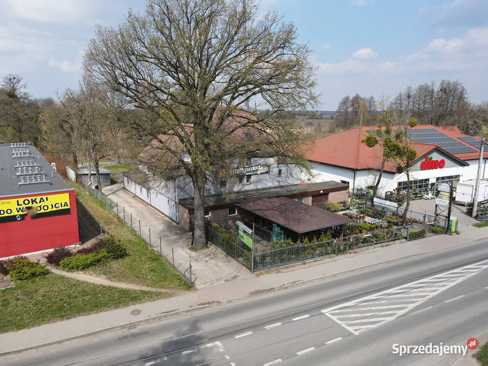 Lokal Niemodlin 700m2 opolskie