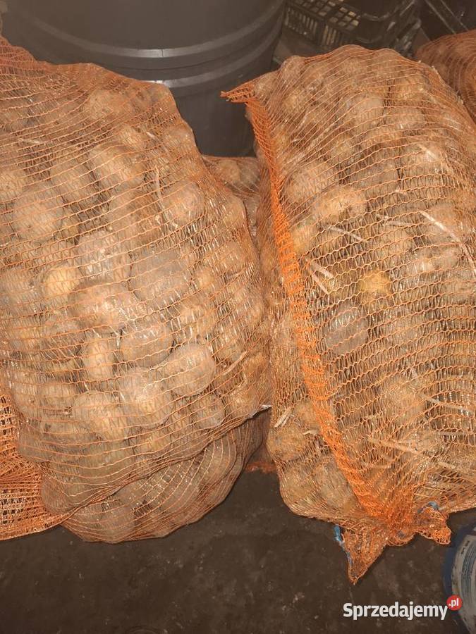 Sprzedam ziemniaki Tyszowce