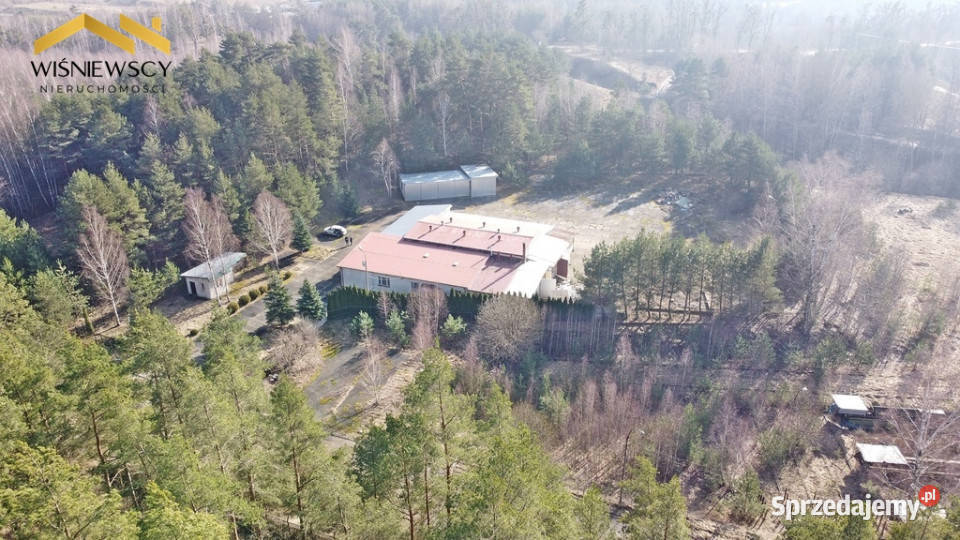 Obiekt o pow 750 mkw na działce o pow 6964 mkw pomorskie Dzierzgoń