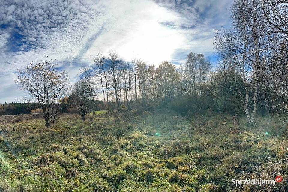 Działka budowlana Wymiarki