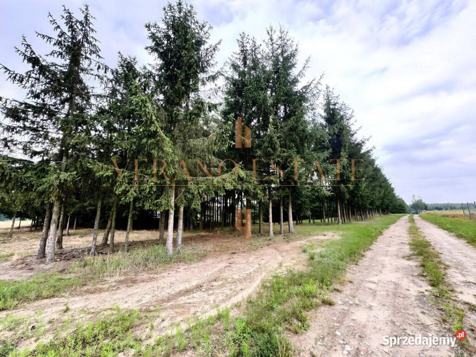 Malownicza działka w otoczeniu zieleni MPZP